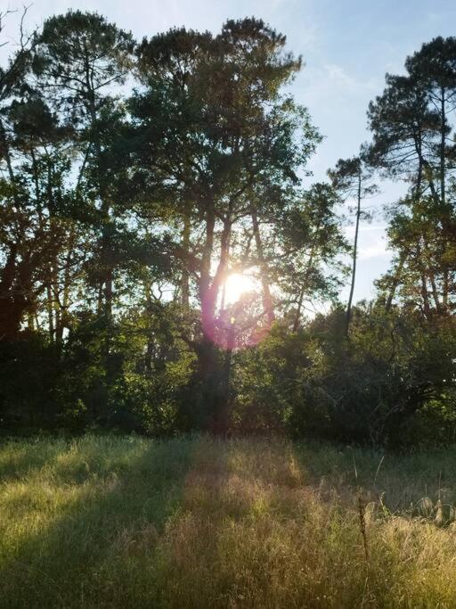 Bienvenue En Sud Gironde Villa Villandraut Buitenkant foto